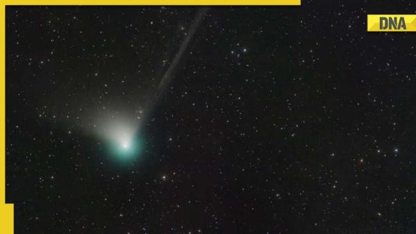 Rare green comet closest to Earth on February 1: When, wher<em></em>e to watch this rare occurrence in India